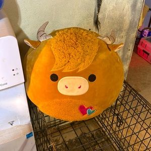24” valentines addition highland cow